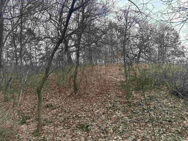 Lyndon Station, WI 53944,6+/- Acres Windy Gap Road