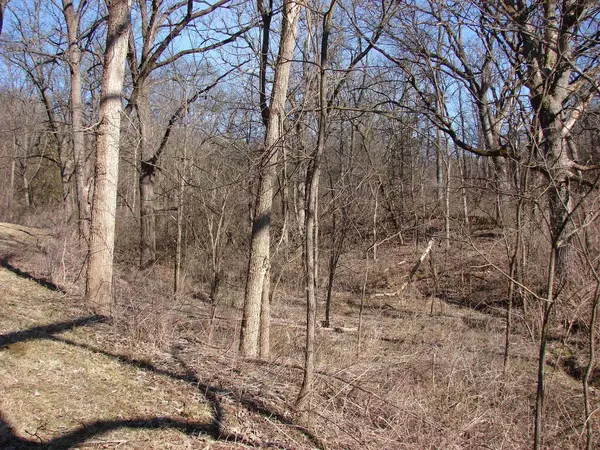 Dodgeville, WI 53533,55.5 +/- Acres Hunter Hollow Road