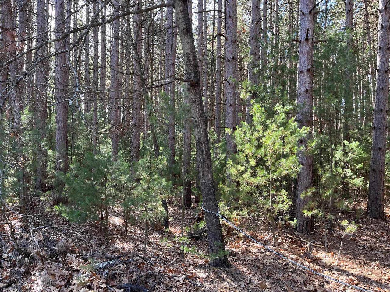 Wisconsin Dells, WI 53965,L68 & 69 Norway Court