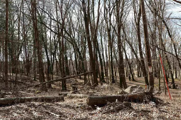 Pine River, WI 54965,Lt6 Deer Run