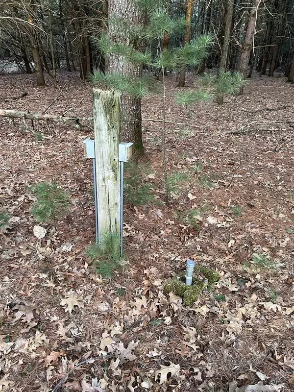 Neshkoro, WI 54960,N8503 County Road N