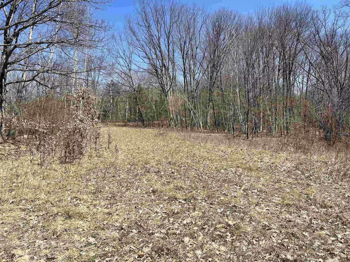 Pittsville, WI 54466,Parcel 0400053B Cary Rock Drive