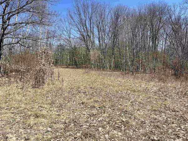 Parcel 0400053B Cary Rock Drive, Pittsville, WI 54466