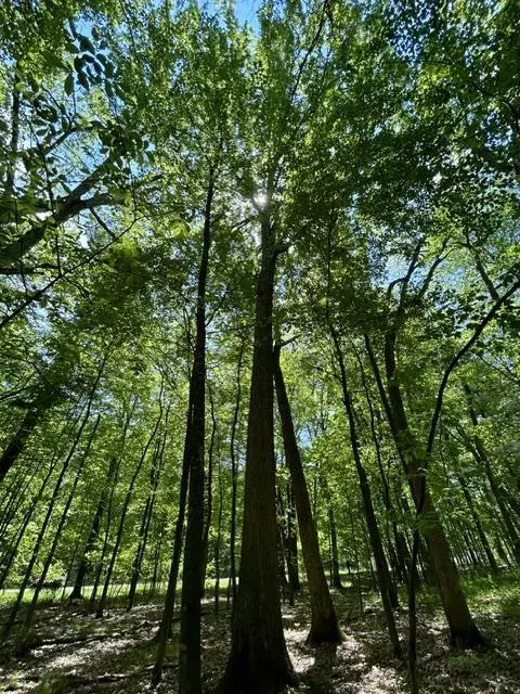 Arkdale, WI 54613,Lot 23 S Badger Lane