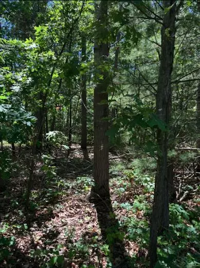 Lyndon Station, WI 53944,W2138 55th Street