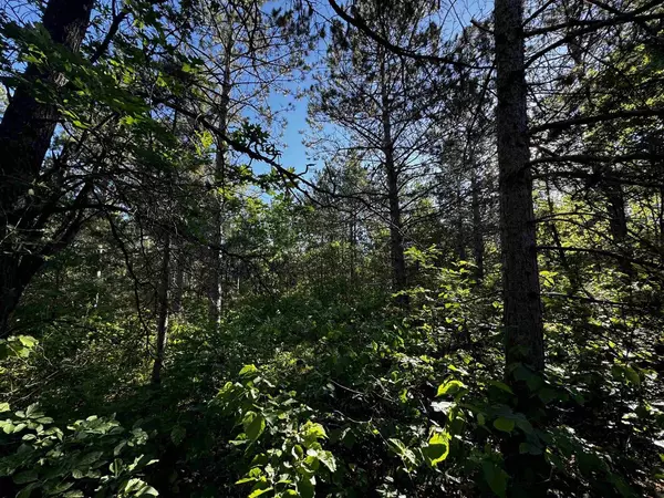 Hancock, WI 54943,Lot 12 9th Avenue