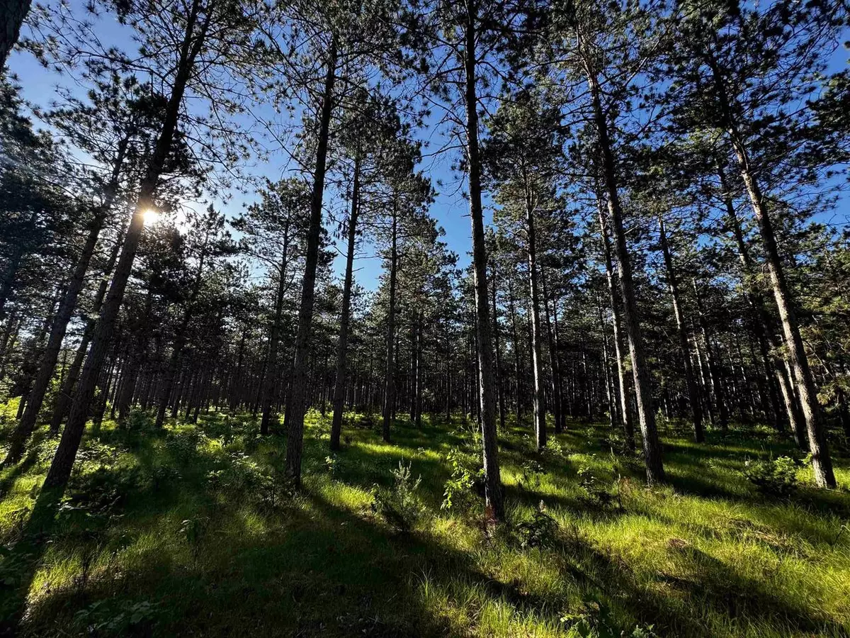 Hancock, WI 54943,Lot 12 9th Avenue