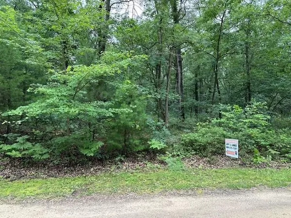 Lyndon Station, WI 53944,Lot 10 Bayview Lane