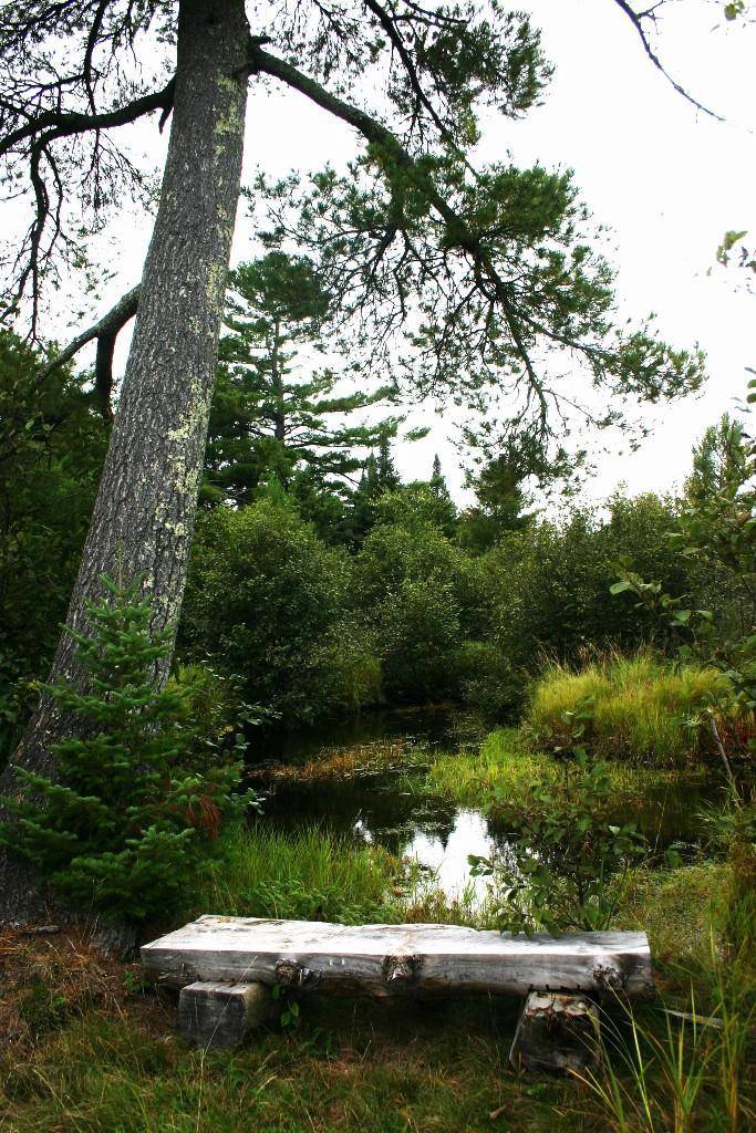 Butternut, WI 54514,12279 Stangle Road