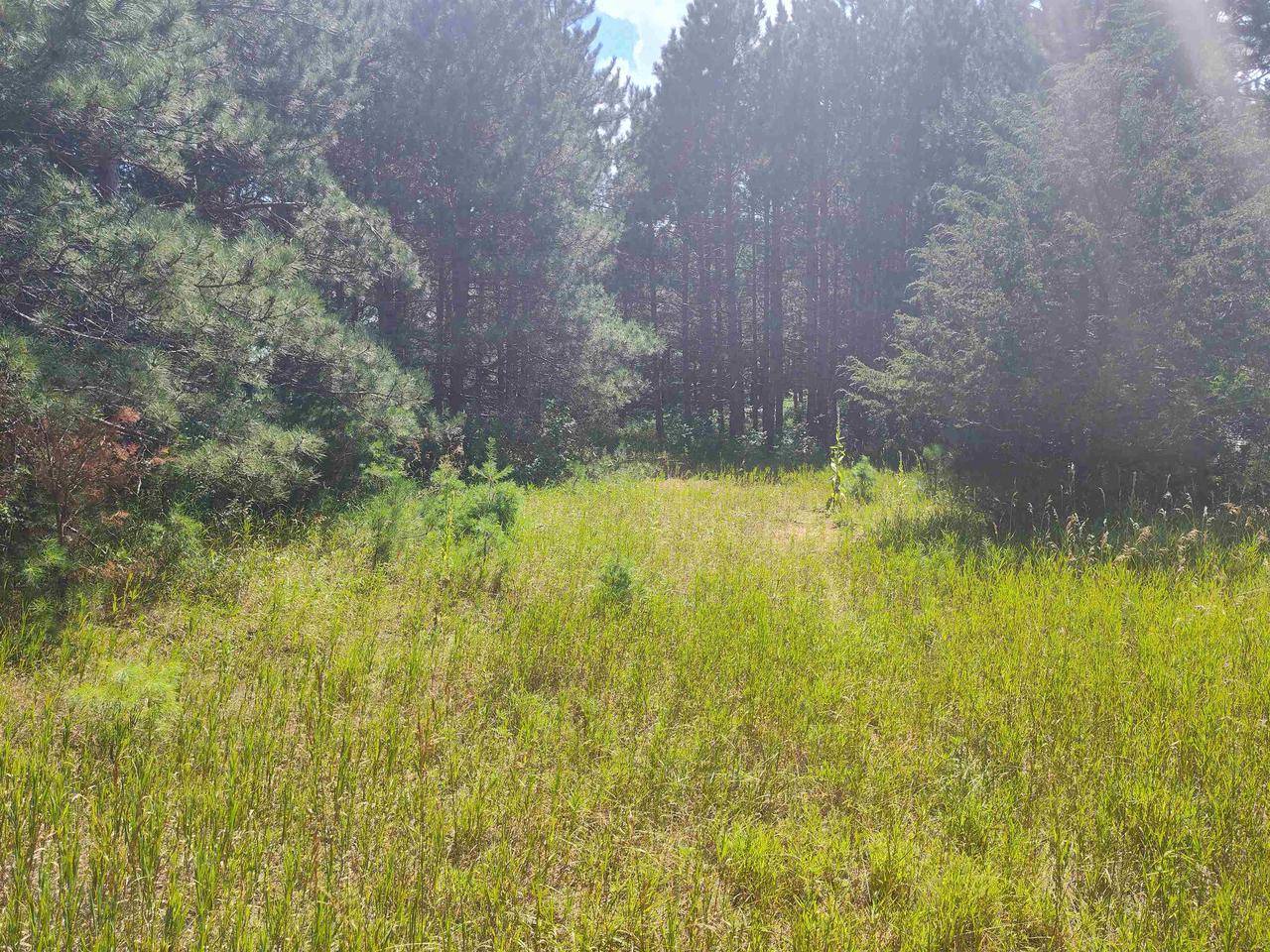 Lot 114 County Road Z, Arkdale, WI 54613