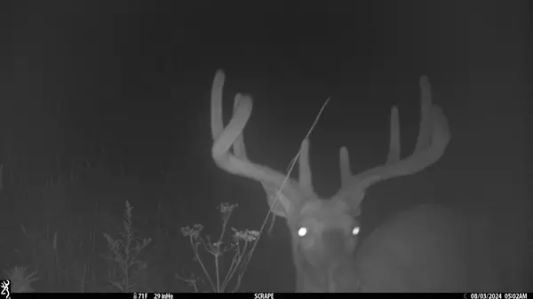 Rock Springs, WI 53961