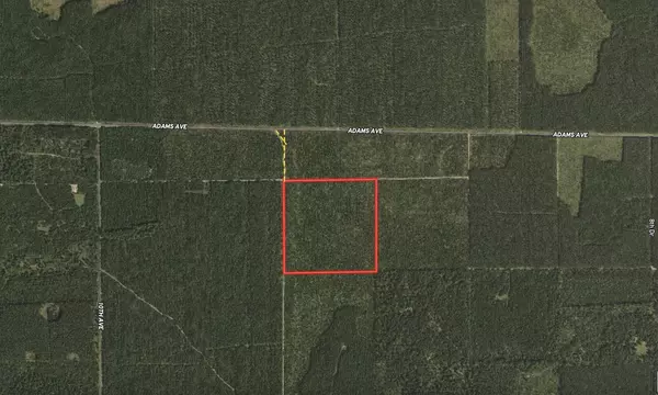 Nekoosa, WI 54457,40 AC Adams Avenue