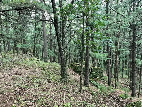 1140 Evergreen Drive, Grand Marsh, WI 53936