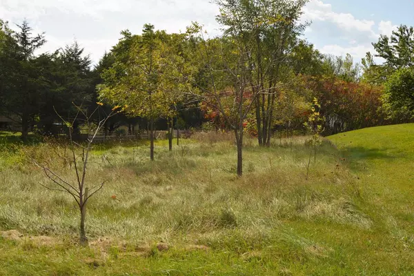 Spring Green, WI 53588,Lot 99 Westmor Street