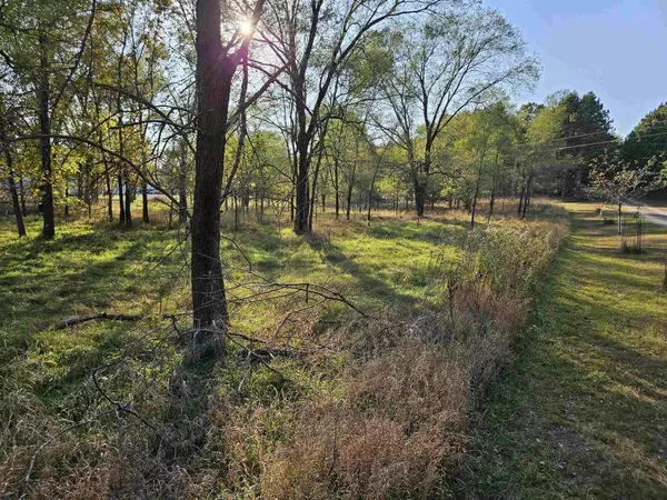 Oxford, WI 53952,.53 Ac N 2nd Court