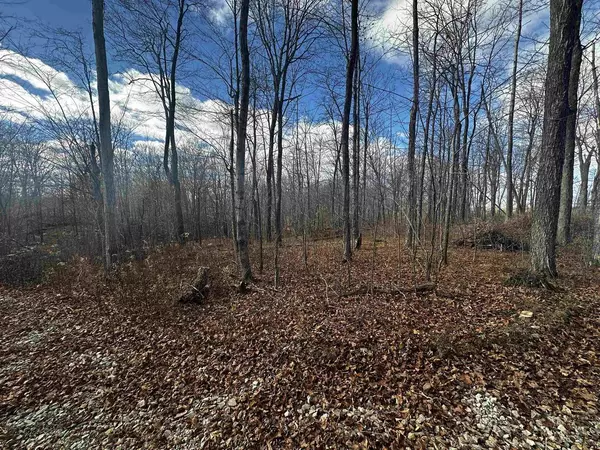 Campbellsport, WI 53010,County Road SS