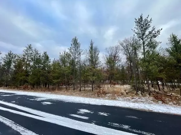 Nekoosa, WI 54457,1300 Birdie Trail