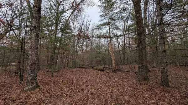 Arkdale, WI 54613,Lot 33 S Badger Court