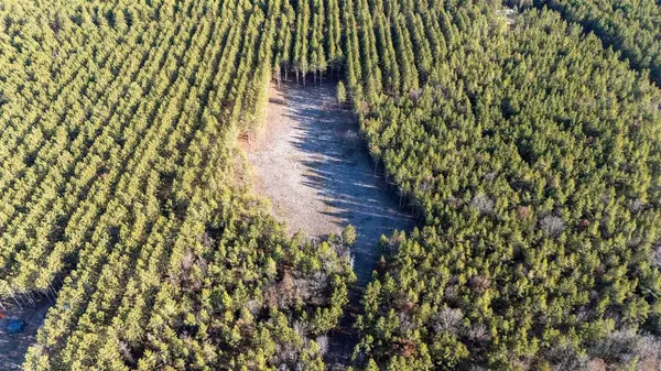 New Lisbon, WI 53950,N9196 8th Avenue