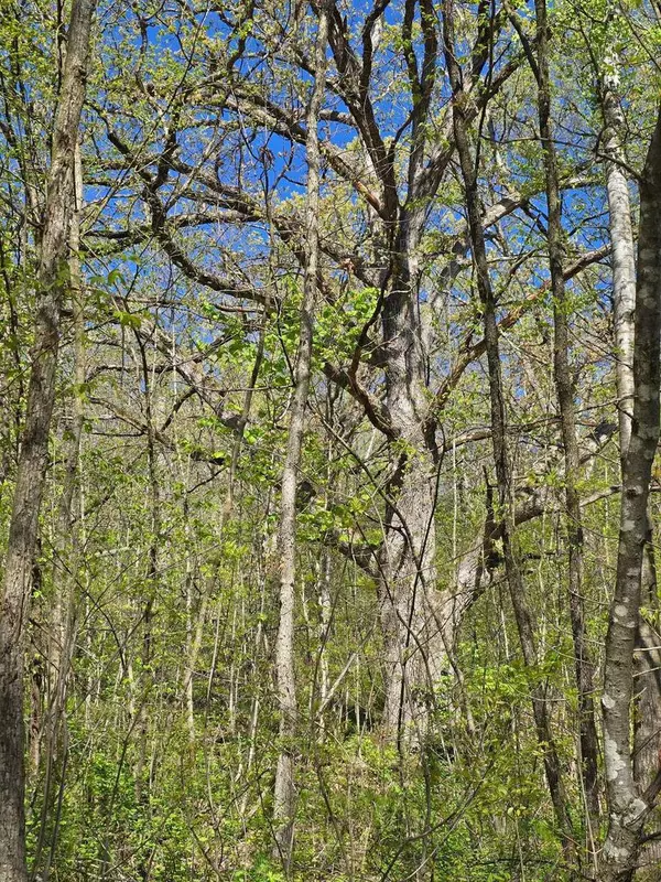 Prairie Du Chien, WI 53821,TBD 10 Acres Old Country Lane