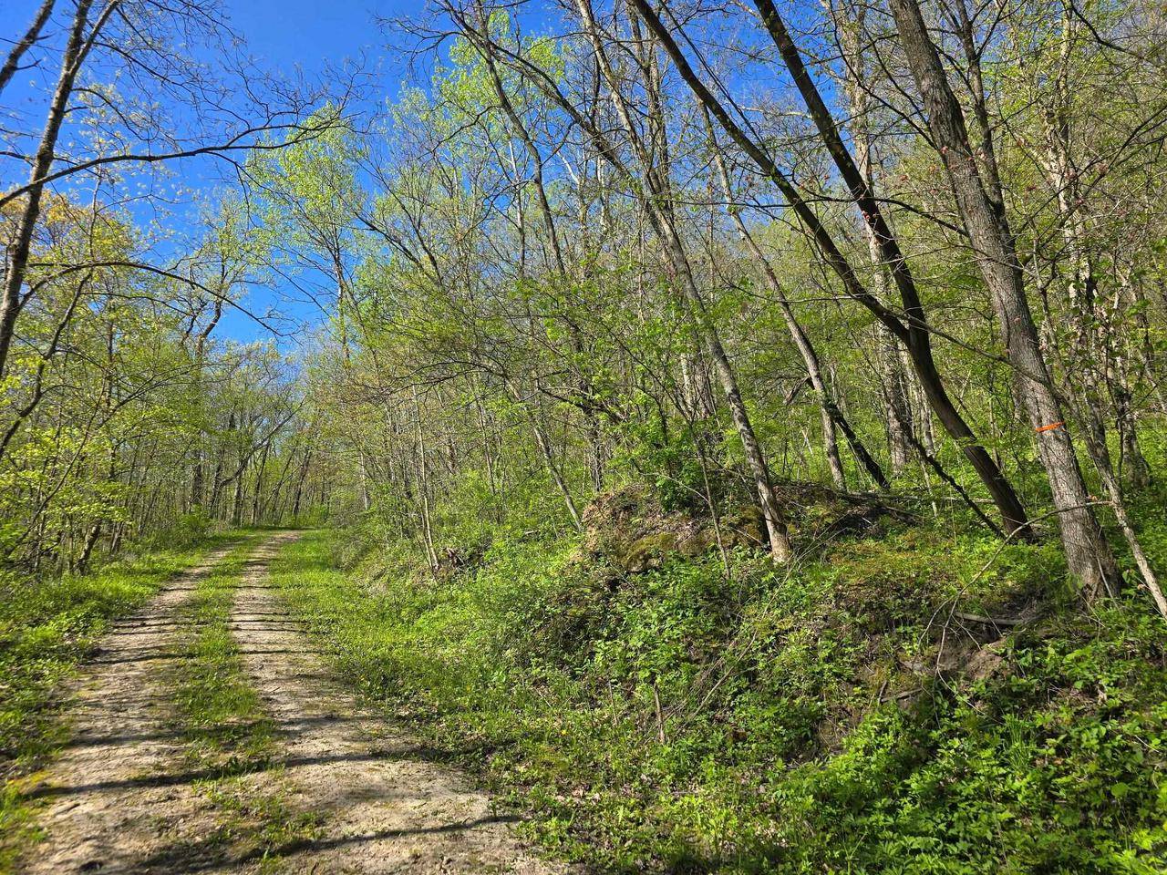 Prairie Du Chien, WI 53821,TBD 10 Acres Old Country Lane