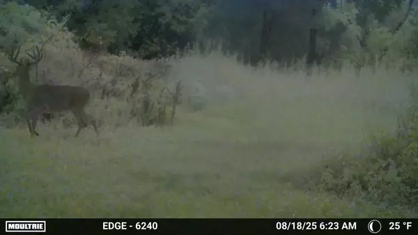 Dodgeville, WI 53533,165+/- Acres Miess Road