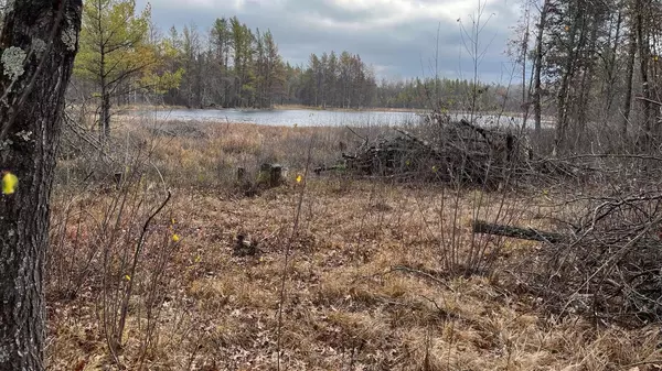 0 Bauer Road, Black River Falls, WI 54615