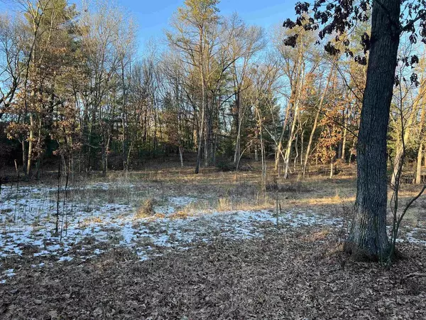 Arkdale, WI 54613,Dakota Avenue