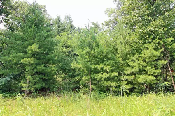 Spring Green, WI 53588,Lot20 Timber Trail