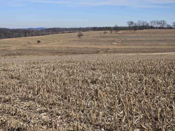 Kendall, WI 54638,00 Owatonna Avenue