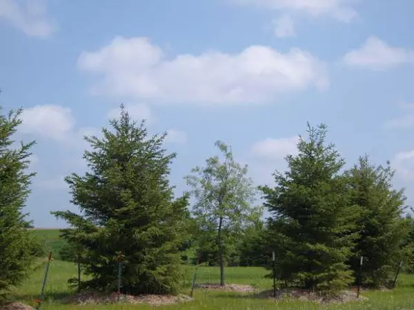 Sun Prairie, WI 53590,L143 Lucas Lane