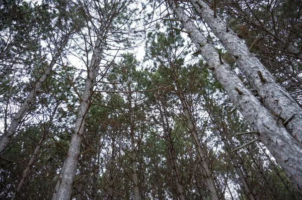 Arkdale, WI 54613,685 17th Drive