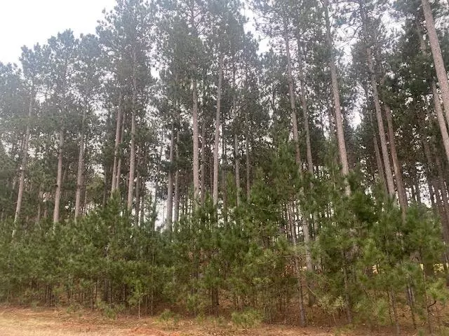 Nekoosa, WI 54457,1389 Sawgrass Drive