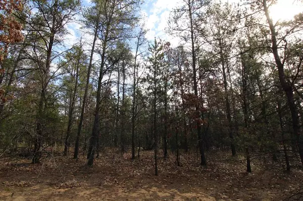 Nekoosa, WI 54457,655 16th Avenue