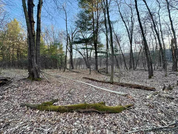 Oxford, WI 53592,Lots 153 - 154 W 3rd Drive