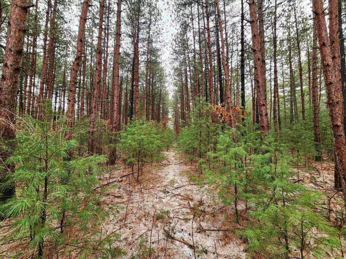 Lone Rock, WI 53556,NHN Phylane Road