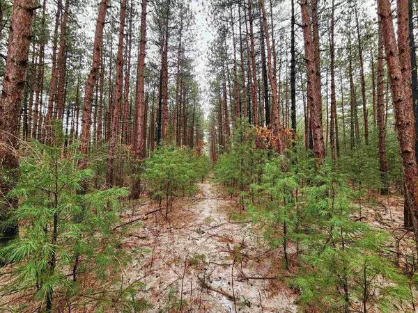 NHN Phylane Road, Lone Rock, WI 53556