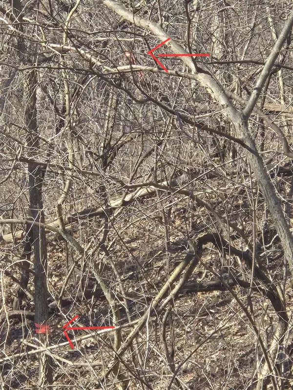 Parcel 534.H Tomlinson Road, Poynette, WI 53955