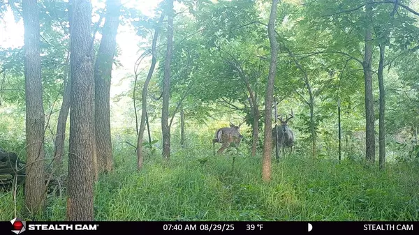 Oxford, WI 53952,40 AC County Road O