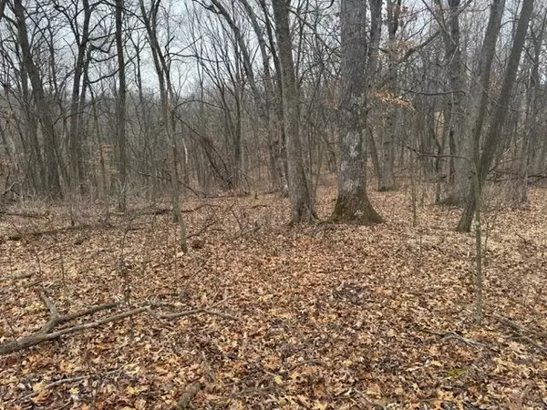 Blue River, WI 53518,Lot 29 Hidden Meadow Lane