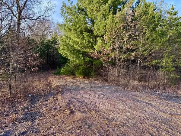 New Lisbon, WI 53950,W5569 North Shore Drive