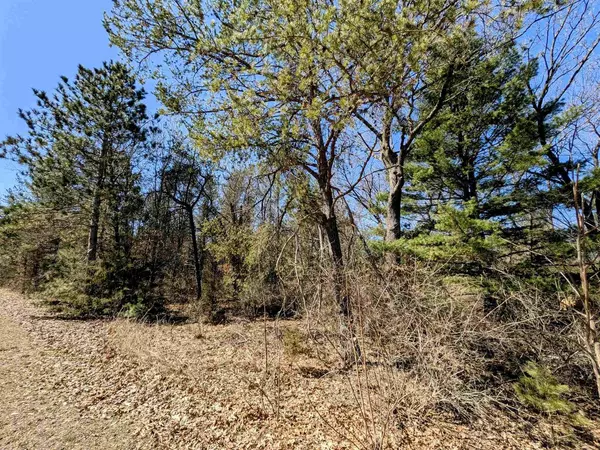 Grand Marsh, WI 53936,0 Fawn Drive