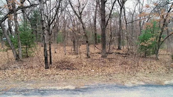 Lyndon Station, WI 53944,Lots 3-4 Arbor Lake