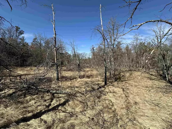 Arkdale, WI 54613,1153 15th Avenue