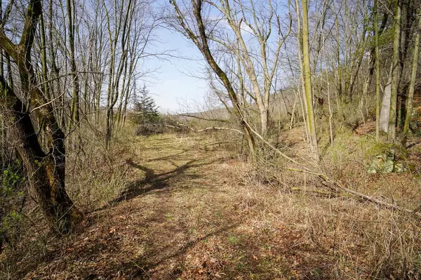 Rock Springs, WI 53961,306 Oak Street