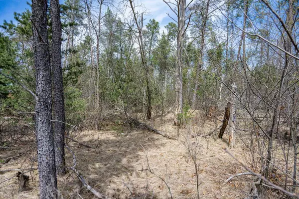 New Lisbon, WI 53950,Lot 164 Whistling Wings Drive