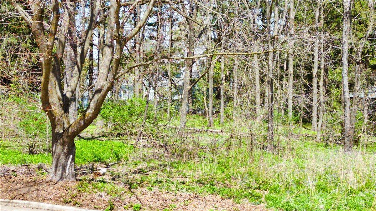 Madison, WI 53705,10 Larch Circle