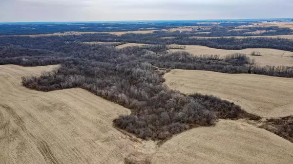 Pulaski, WI 53573,30+/-AC Dry Dog Road