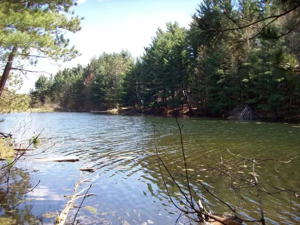 Wisconsin Dells, WI 53965,Herwig Road