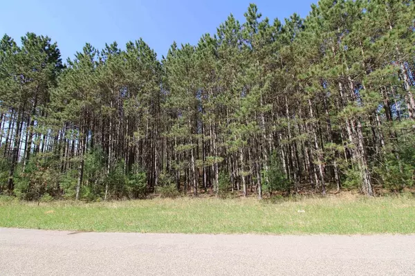 5.04 Ac 20th Avenue, Arkdale, WI 54613